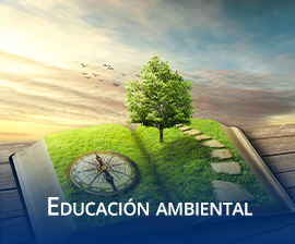 Educacin Ambiental