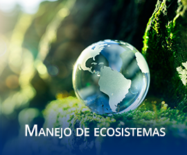 Manejo de Ecosistemas