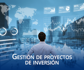 Gestin e Inversin