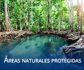 reas Naturales Protegidas